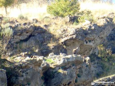 Meandros del Lozoya - Presa de la Parra; caños de meca agencia de viajes rascafria camino del rey si